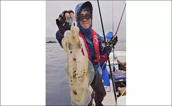 「レンタルボートでのルアー釣行でアオリにマダイにアカハタと魚種多彩【三重】」の画像