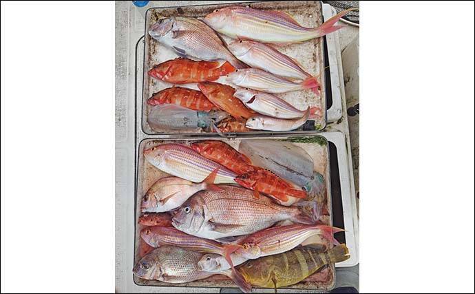 レンタルボートでのルアー釣行でアオリにマダイにアカハタと魚種多彩【三重】