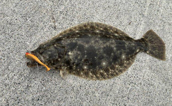 ルアーヒラメ釣り中毒者がオススメする『FJロデム』ってどんなルアー？