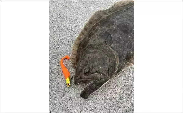 「ルアーヒラメ釣り中毒者がオススメする『FJロデム』ってどんなルアー？」の画像