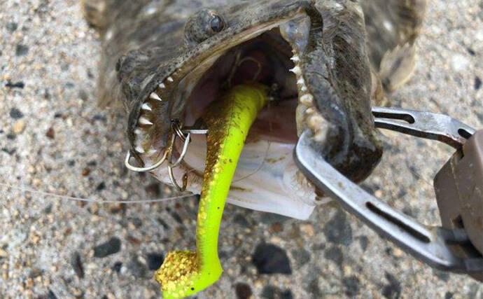 ルアーヒラメ釣り中毒者がオススメする『FJロデム』ってどんなルアー？