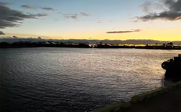 「寒波到来＆暴風の浜名湖でダイソージグサビキを投げてみた　ヒイラギ入れ掛かりの謎」の画像