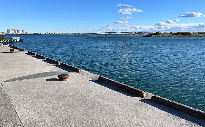 寒波到来＆暴風の浜名湖でダイソージグサビキを投げてみた　ヒイラギ入れ掛かりの謎