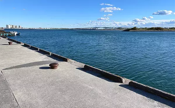 「寒波到来＆暴風の浜名湖でダイソージグサビキを投げてみた　ヒイラギ入れ掛かりの謎」の画像