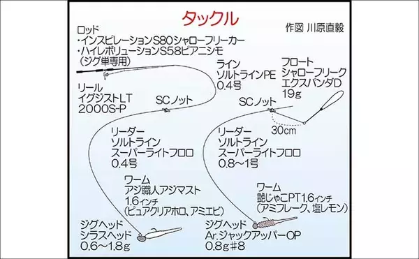 「遠投アジングで25cm級アジ手中！【山口・白浜漁港】シャローフリークで沖の潮目を攻略」の画像