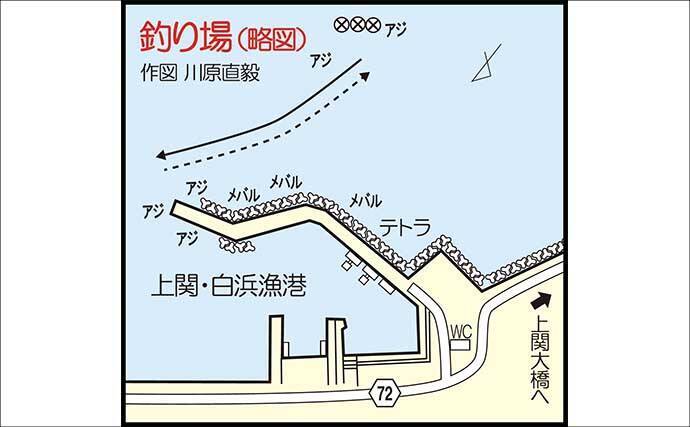 遠投アジングで25cm級アジ手中！【山口・白浜漁港】シャローフリークで沖の潮目を攻略
