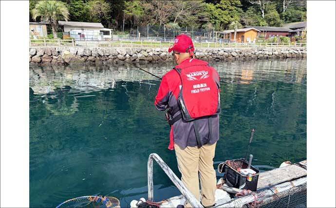 イケスでのフカセ釣りで50cm級頭にマダイ連打に成功！【沼津・静岡】