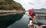 「イケスでのフカセ釣りで50cm級頭にマダイ連打に成功！【沼津・静岡】」の画像4