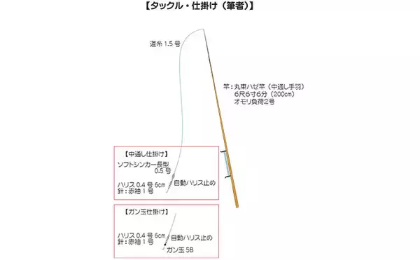 「江戸川放水路の桟橋でハゼ釣り満喫【伊藤遊船】 ズル引き釣法が的中で80匹！」の画像