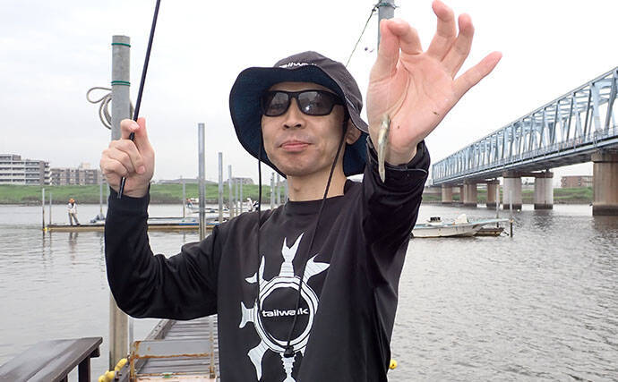 江戸川放水路の桟橋でハゼ釣り満喫【伊藤遊船】 ズル引き釣法が的中で80匹！