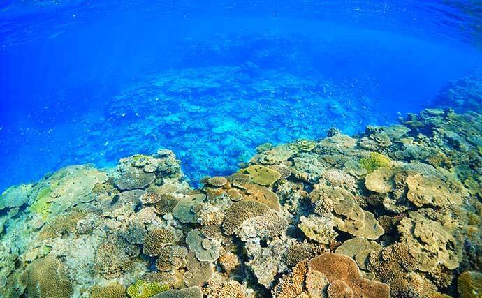 沖縄への遠征ライトジギングで多彩釣果　無着色の鉛ジグが一番釣れた？