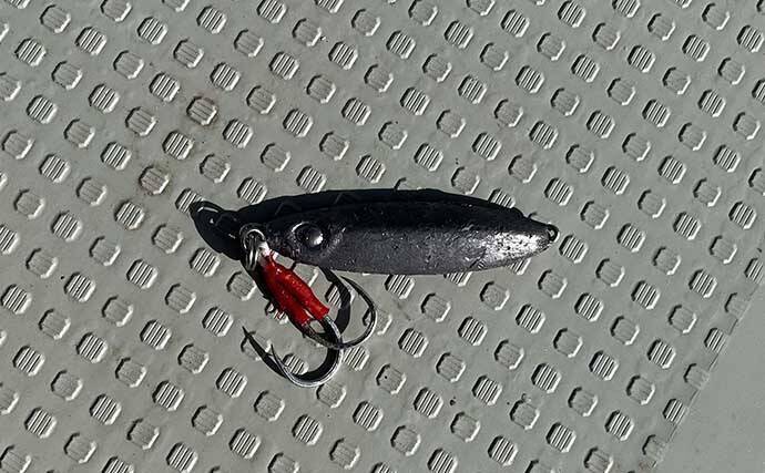 沖縄への遠征ライトジギングで多彩釣果　無着色の鉛ジグが一番釣れた？