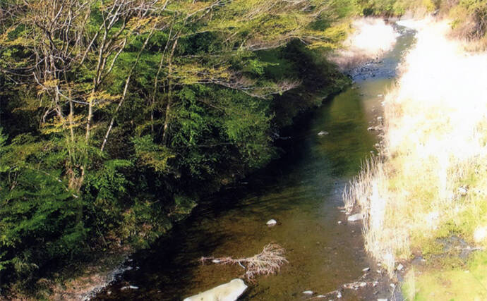 アユのトモ釣りおすすめ河川2023：秋山川【山梨】昨年は7月下旬から絶好調