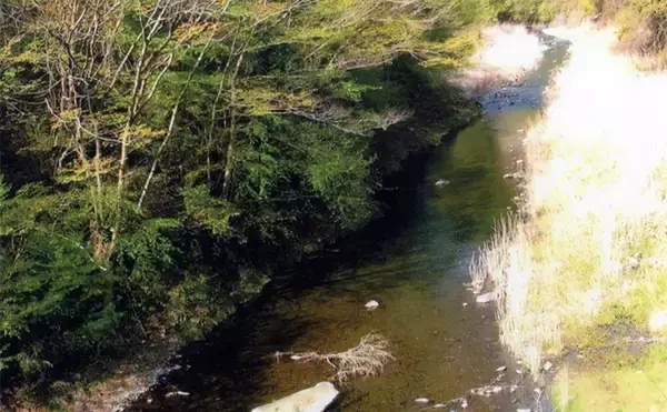 「アユのトモ釣りおすすめ河川2023：秋山川【山梨】昨年は7月下旬から絶好調」の画像