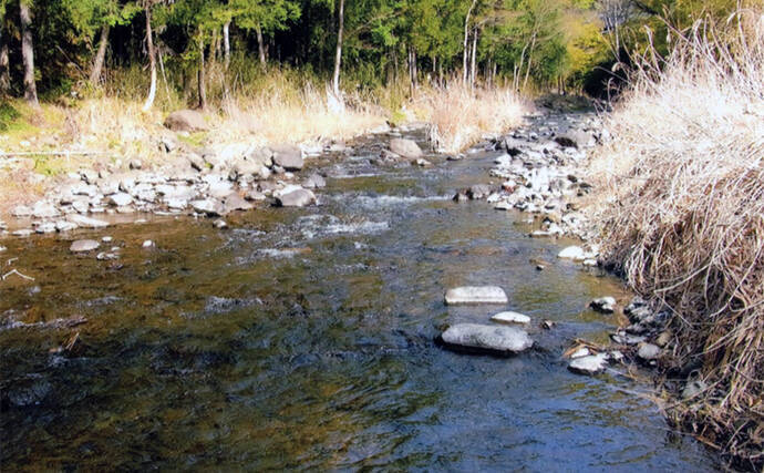 アユのトモ釣りおすすめ河川2023：秋山川【山梨】昨年は7月下旬から絶好調
