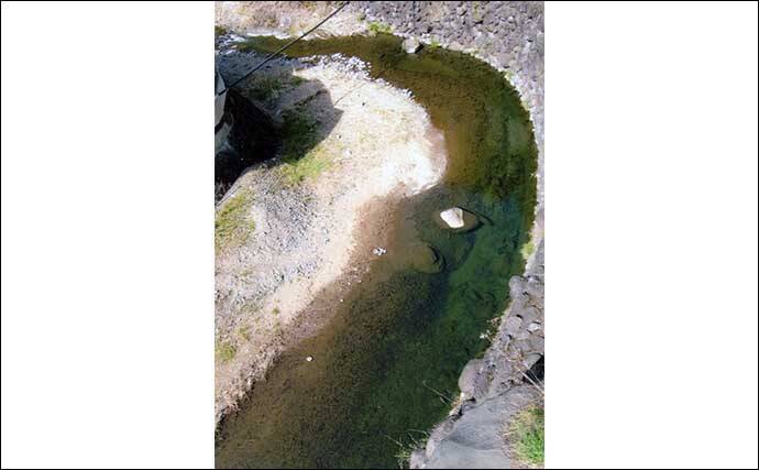 アユのトモ釣りおすすめ河川2023：秋山川【山梨】昨年は7月下旬から絶好調