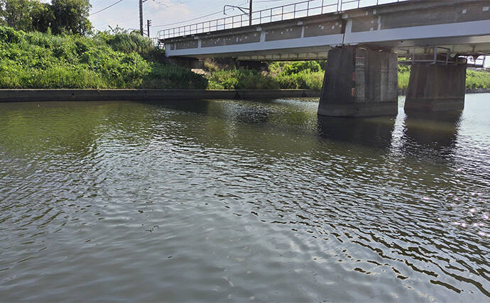 夏のデイゲーム釣行で60cm級シーバス【千葉・村田川】バイブレーションで手中