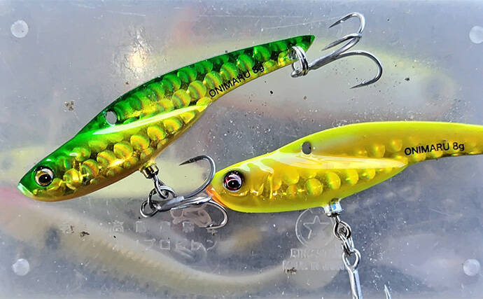 夏のデイゲーム釣行で60cm級シーバス【千葉・村田川】バイブレーションで手中