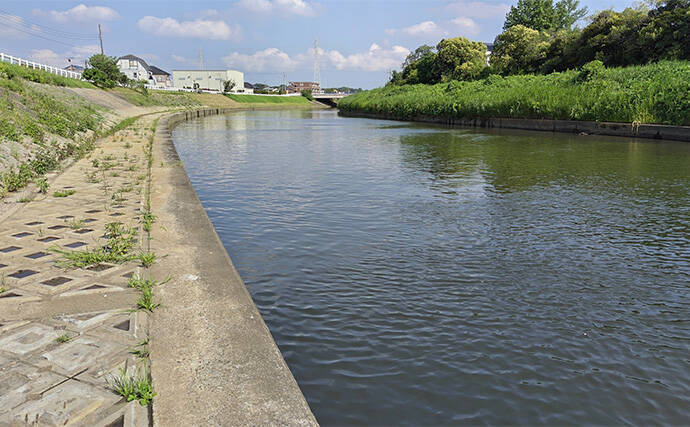 夏のデイゲーム釣行で60cm級シーバス【千葉・村田川】バイブレーションで手中