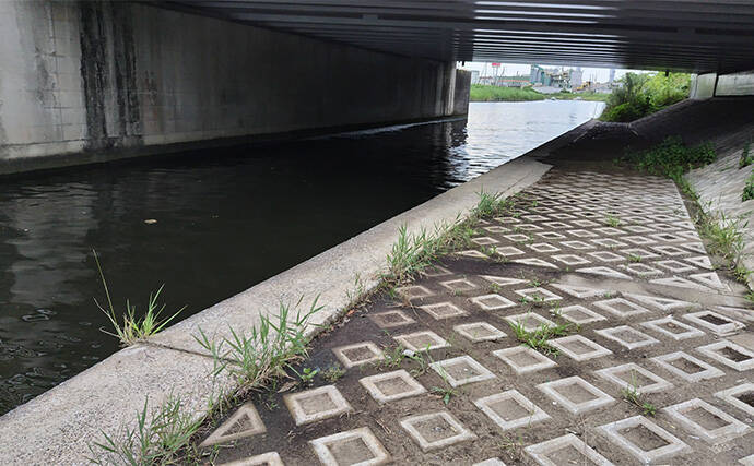 夏のデイゲーム釣行で60cm級シーバス【千葉・村田川】バイブレーションで手中