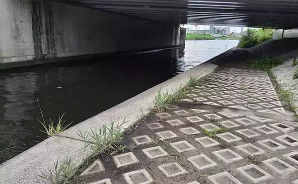 「夏のデイゲーム釣行で60cm級シーバス【千葉・村田川】バイブレーションで手中」の画像