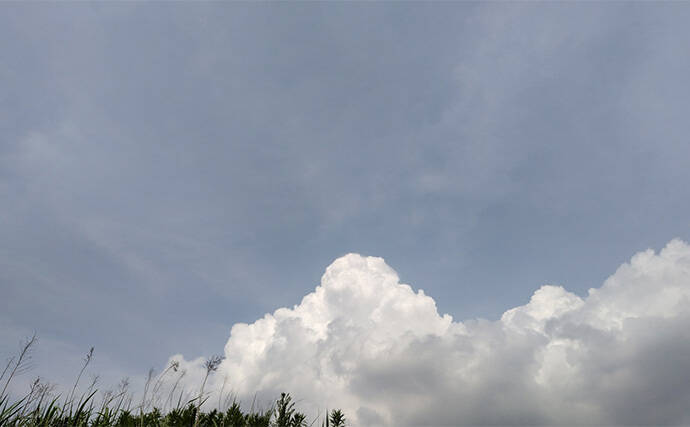 夏のデイゲーム釣行で60cm級シーバス【千葉・村田川】バイブレーションで手中