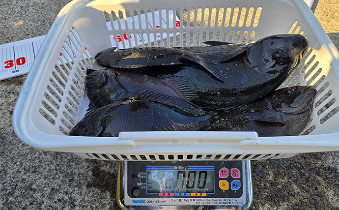 「第9回TFT関東・東レ懇親磯釣り大会IN下田」に参戦　強風に苦戦も37.5cmメジナを釣り上げる