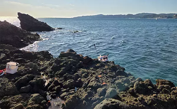 「「第9回TFT関東・東レ懇親磯釣り大会IN下田」に参戦　強風に苦戦も37.5cmメジナを釣り上げる」の画像