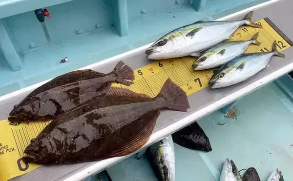 「【沖釣り釣果速報】アマダイ便で良型続々！シロアマダイやイトヨリも好調（愛知・静岡）」の画像