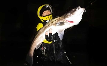 「ラスト1投！」からの5投目で70cm後半の大型シーバスをキャッチ！