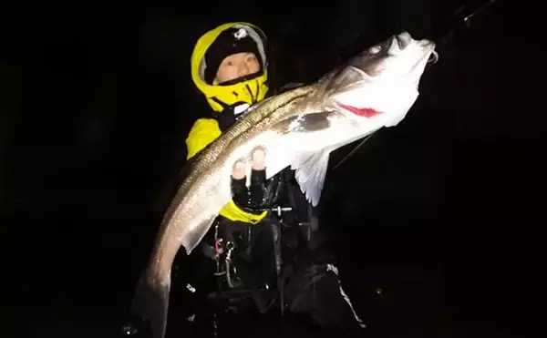 「ラスト1投！」からの5投目で70cm後半の大型シーバスをキャッチ！