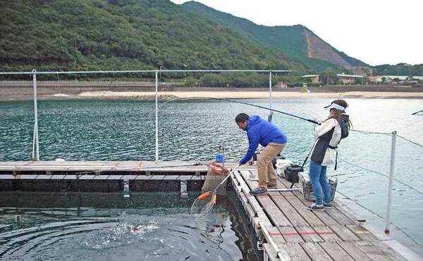 海上釣り堀攻略 仕掛け エサ 釣り方をターゲット魚種ごとに解説 22年4月30日 エキサイトニュース