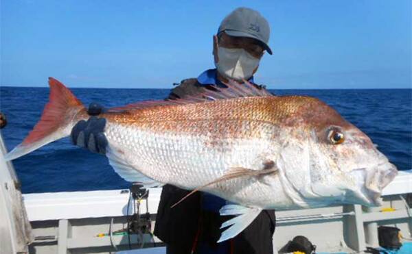 福岡 沖のエサ釣り最新釣果 落とし込み釣りで5kgの大ダイ浮上 22年8月19日 エキサイトニュース