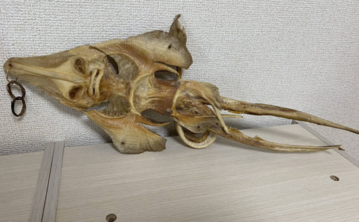 エイ の 干物