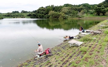 今週のヘラブナ推薦釣り場2025【静岡・七曲の池】