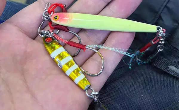 「大阪湾奥LSJ釣行で45cm級サゴシ3本手中【泉大津】TGジグのストップ＆ゴーで連発」の画像