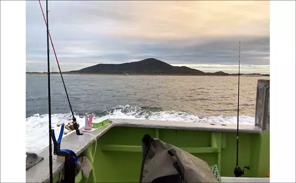 「秋の船カワハギ釣りで本命と対面成功【愛知・おざき丸】ゼロテンション後の空アワセで連発」の画像