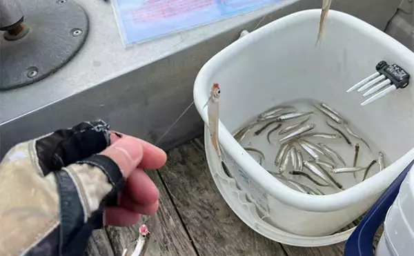 「「こんな日はやめておこう！」ファミリーやカップルでも楽しめるボートワカサギ釣りの注意点」の画像