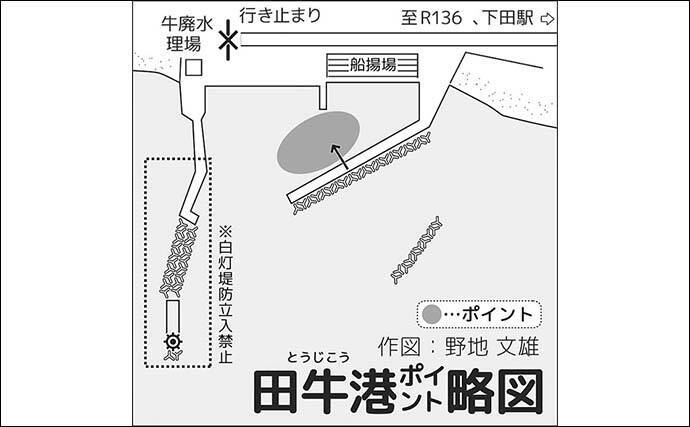 孫と一緒にチョイ投げ釣りで笑顔満開【静岡・南伊豆田牛港】冬でも短時間でシロギス8尾手中