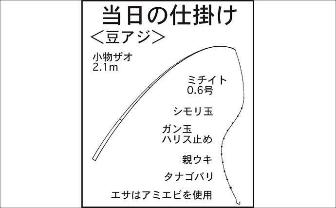 淡水小物タックル＆タナゴ仕掛けで豆アジが爆釣！【三重】アワセる爽快感がクセになる面白さ