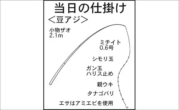 「淡水小物タックル＆タナゴ仕掛けで豆アジが爆釣！【三重】アワセる爽快感がクセになる面白さ」の画像