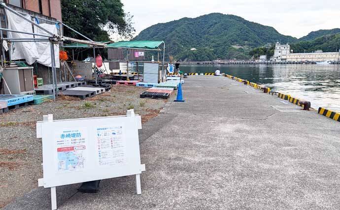 「海釣りGO」で釣り場を予約してフカセ釣りを満喫【西伊豆】堤防から45cm大型メジナをキャッチ！