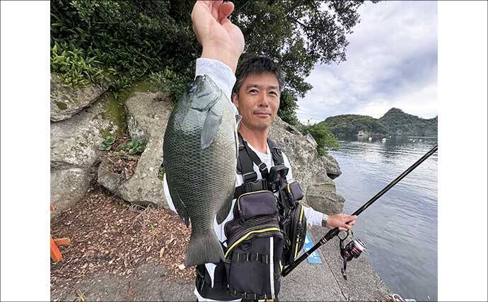 「海釣りGO」で釣り場を予約してフカセ釣りを満喫【西伊豆】堤防から45cm大型メジナをキャッチ！