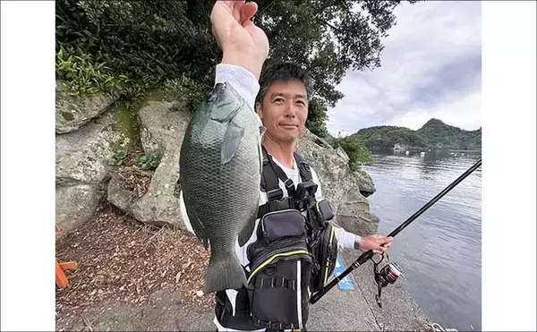 「「海釣りGO」で釣り場を予約してフカセ釣りを満喫【西伊豆】堤防から45cm大型メジナをキャッチ！」の画像