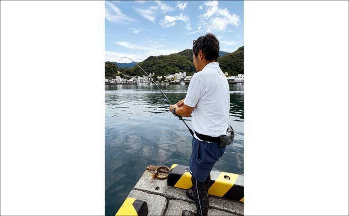 「海釣りGO」で釣り場を予約してフカセ釣りを満喫【西伊豆】堤防から45cm大型メジナをキャッチ！