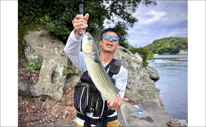 「海釣りGO」で釣り場を予約してフカセ釣りを満喫【西伊豆】堤防から45cm大型メジナをキャッチ！