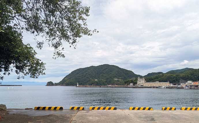 「海釣りGO」で釣り場を予約してフカセ釣りを満喫【西伊豆】堤防から45cm大型メジナをキャッチ！