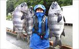 「イシダイが船中2桁釣果！トップ4匹と快釣【船エサ釣り釣果速報8選・三重】」の画像8