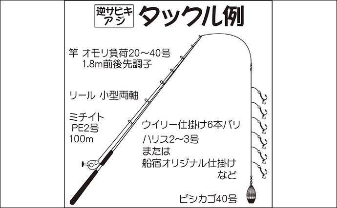 22年 内房エリア 逆サビキ仕掛け 大型アジ釣り入門解説 22年5月5日 エキサイトニュース