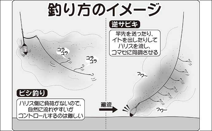 22年 内房エリア 逆サビキ仕掛け 大型アジ釣り入門解説 22年5月5日 エキサイトニュース 2 3